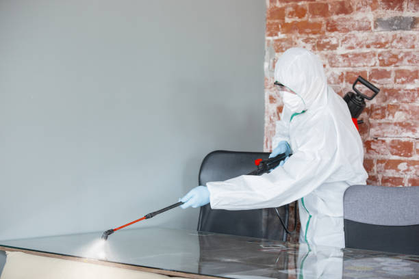 Best Mold Remediation for Healthcare Facilities  in Fulshear, TX