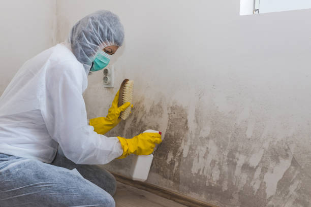 Best Crawl Space Mold Remediation  in Fulshear, TX