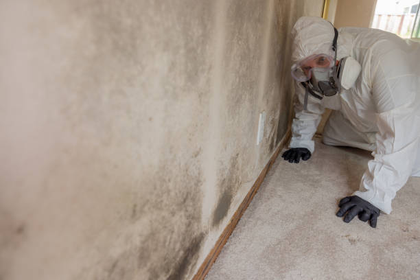 Best Asbestos and Lead Testing During Mold Inspection  in Fulshear, TX